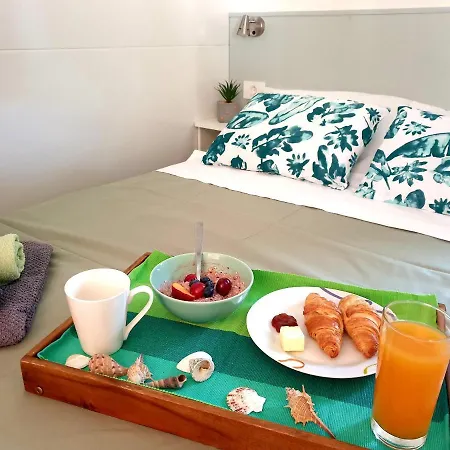 Camping Mobile Homes Allegra Soline