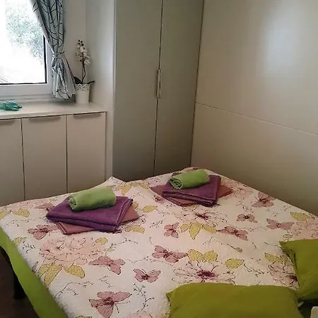 Mobile Homes Allegra Soline