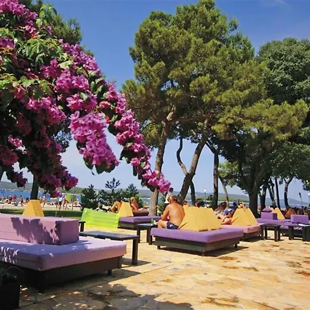 Mobile Homes Allegra Soline Campsite 4*